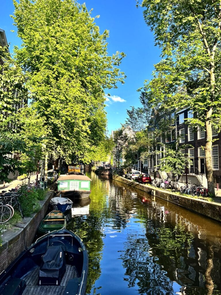 AMSTERDAM’DA DİKKATİMİZİ NELER ÇEKTİ?